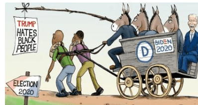 biden racebaiting