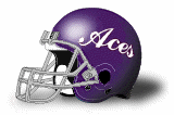 evansville purple aces