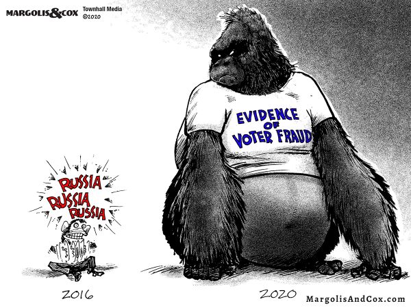 vote fraud in 2020