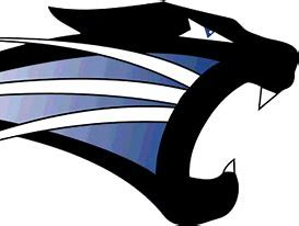 St francis in cougars