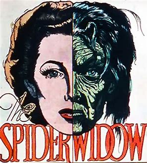 spider widow