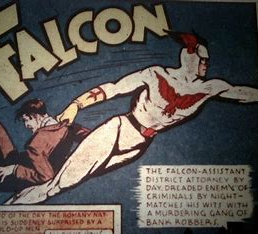falcon timely