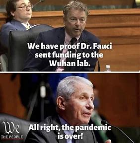 fauci pandemic meme