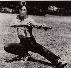 james ryan good shang chi