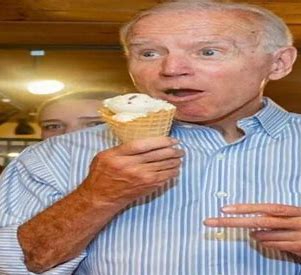 biden cone