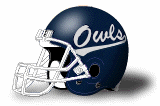 southern connecticut state owls helmet