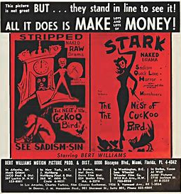 nest of the cuckoo birds 2