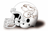 saint francis il fighting saints