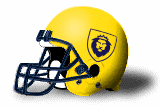 warner royals yellow helmet