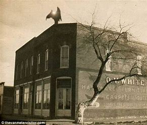 van meter visitor
