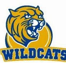 johnson and wales charlotte wildcats