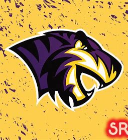 paul quinn college tigers