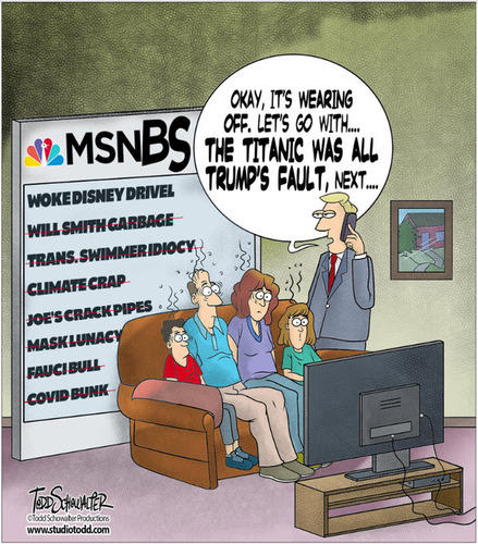 democrat media cartoon