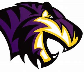 paul quinn college tigers alternate