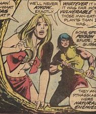 after the dweller's death