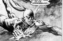 Killer Shrike flying