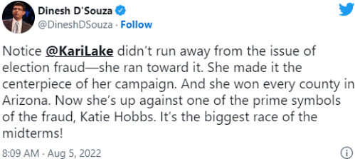 trump kari lake dsouza