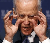 biden is a weird little man