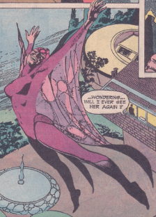 black orchid flies off