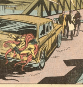 creeper clinging to car