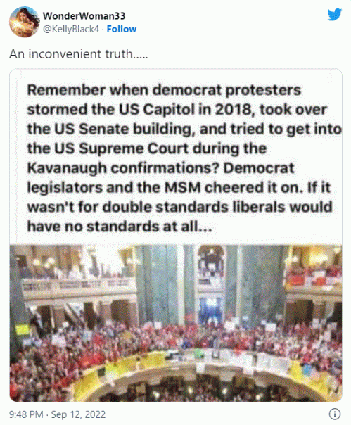 democrat capital assault