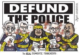 democrats defund police etc