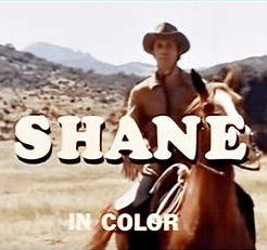 shane in color