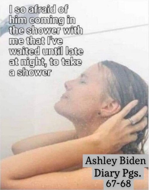 ashley biden diary excerpt meme