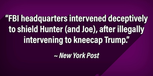 democrats fbi thuggery