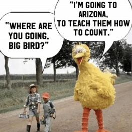 arizona counting big bird