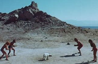 fighting over the lamb