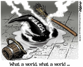 pelosi enemy of the working class