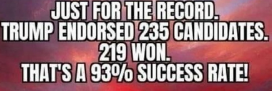 trump endorsees