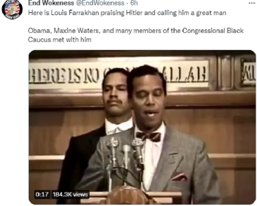 democrats and farrakhan