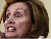 nancy pelosi is garbage