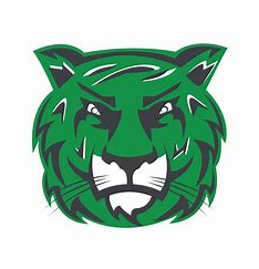 salem university tigers