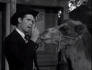 bret and camel
