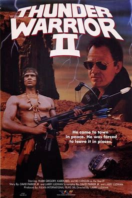 thunder warrior 2