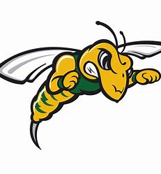 black hills state yellow jackets