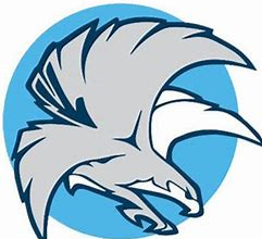 dutchess college falcons