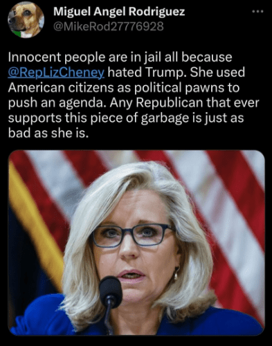 liz cheney garbage