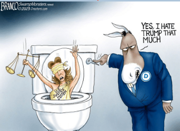 democrat flushing justice system
