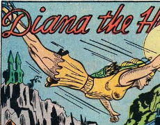 diana flying