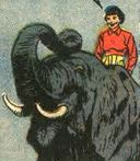 nature girl and bongo