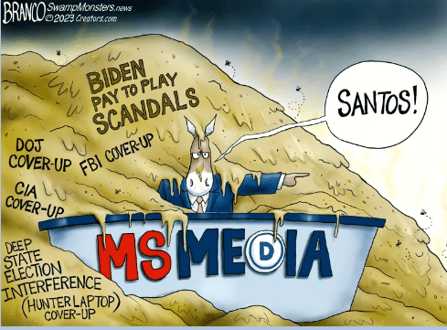 msm