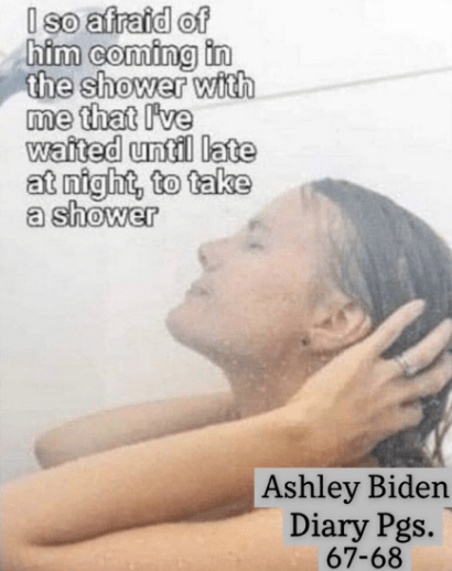 ashley biden diary quote
