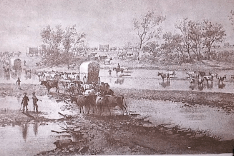wagons
