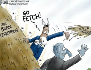 go fetch