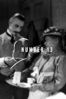 number 13