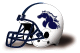 north american university stallions